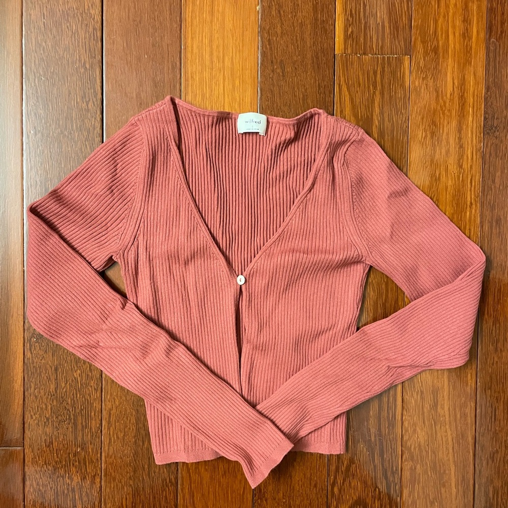 Aritzia Long Sleeve Ribbed Top in Dusty Rose